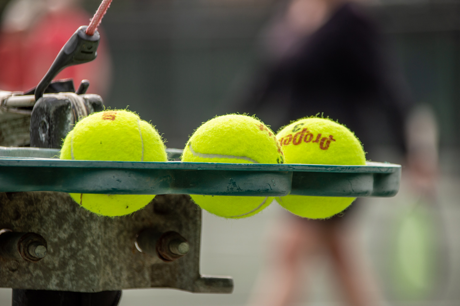 Facilities New York Tennis Club